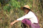 Shore_Worker