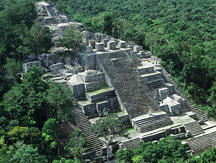 Calakmul 